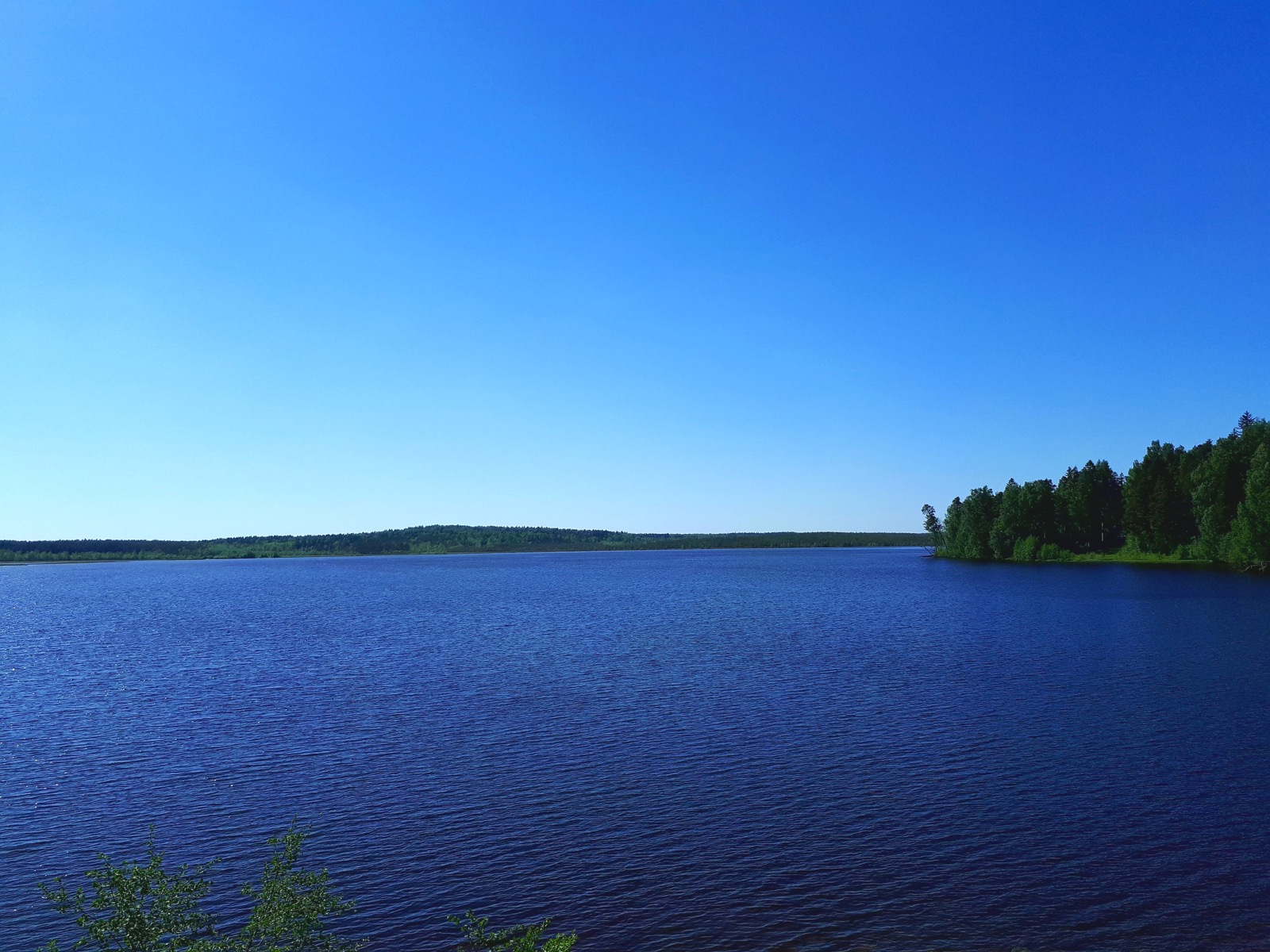 Токсово - прогулка у озера